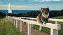 Koala & SpiltPoint Lighthouse