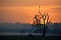 Sunrise on the floodplains around Yellow Waters